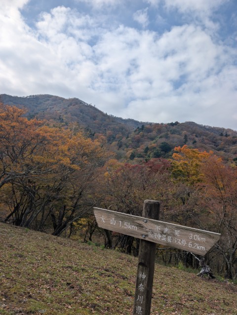 広沢寺温泉から大山へ ─ 唐沢尾根を越えて久遠の稜線へ
